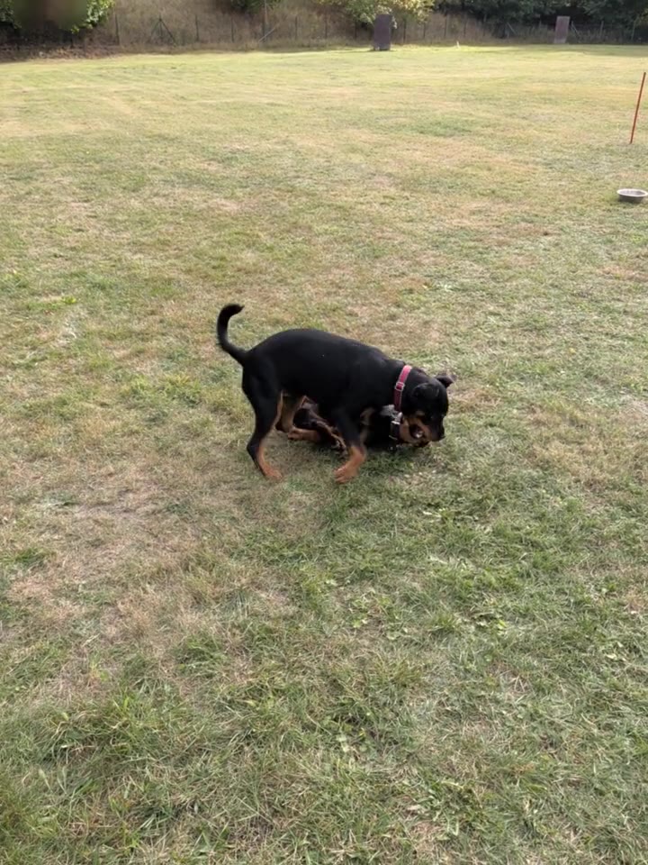 unsere beiden neuesten Zugänge in Action!